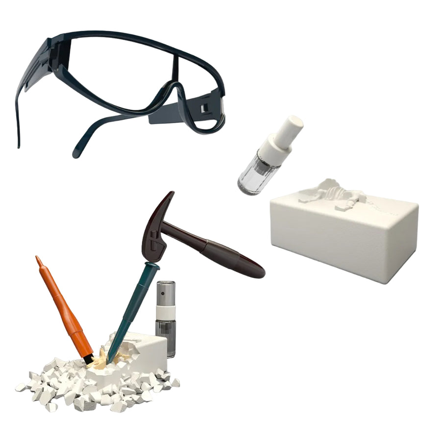 juego-Excavacion-arqueologica-RGM-4